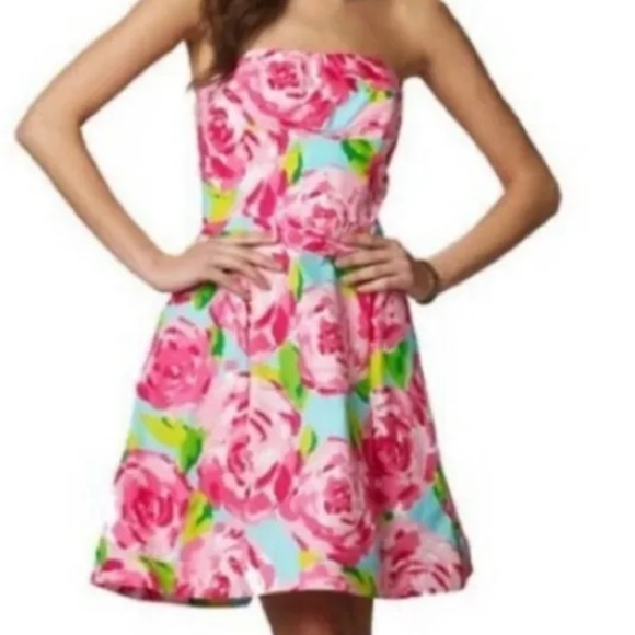 Lilly Pulitzer BLOSSOM FIRST IMPRESSIONS DRESS - HOLY GRAIL - RARE π - Picture 1 of 7